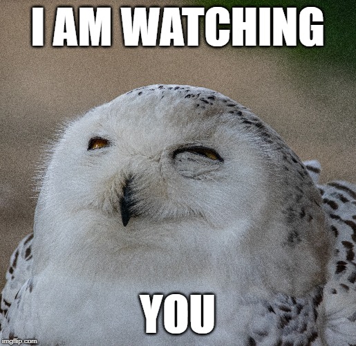 I AM WATCHING; YOU | made w/ Imgflip meme maker