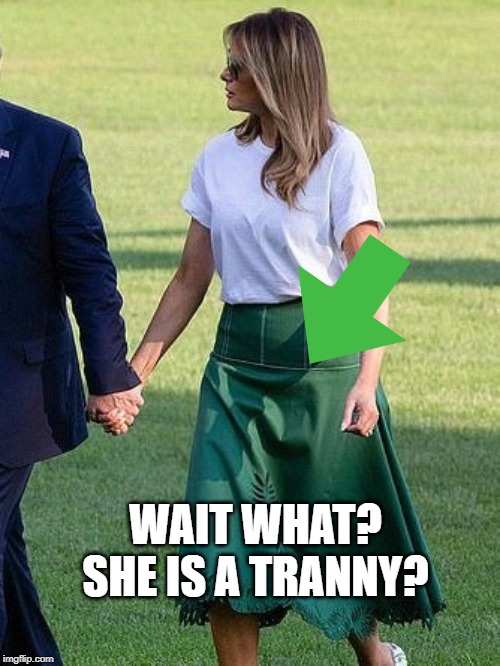 WAIT WHAT? SHE IS A TRANNY? | made w/ Imgflip meme maker
