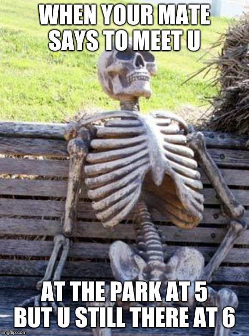 Waiting Skeleton | WHEN YOUR MATE SAYS TO MEET U; AT THE PARK AT 5 BUT U STILL THERE AT 6 | image tagged in memes,waiting skeleton | made w/ Imgflip meme maker