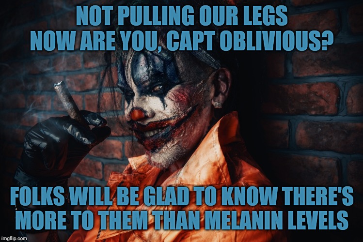 w | NOT PULLING OUR LEGS NOW ARE YOU, CAPT OBLIVIOUS? FOLKS WILL BE GLAD TO KNOW THERE'S   MORE TO THEM THAN MELANIN LEVELS | image tagged in evil bloodstained clown | made w/ Imgflip meme maker