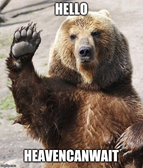 Hello bear | HELLO HEAVENCANWAIT | image tagged in hello bear | made w/ Imgflip meme maker
