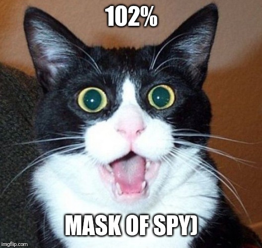 Suprised-cat | 102% MASK OF SPY) | image tagged in suprised-cat | made w/ Imgflip meme maker