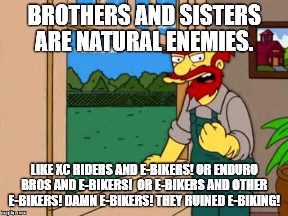 Groundskeeper Willie from the simpsons | BROTHERS AND SISTERS ARE NATURAL ENEMIES. LIKE XC RIDERS AND E-BIKERS! OR ENDURO BROS AND E-BIKERS!  OR E-BIKERS AND OTHER E-BIKERS! DAMN E-BIKERS! THEY RUINED E-BIKING! | image tagged in groundskeeper willie from the simpsons | made w/ Imgflip meme maker
