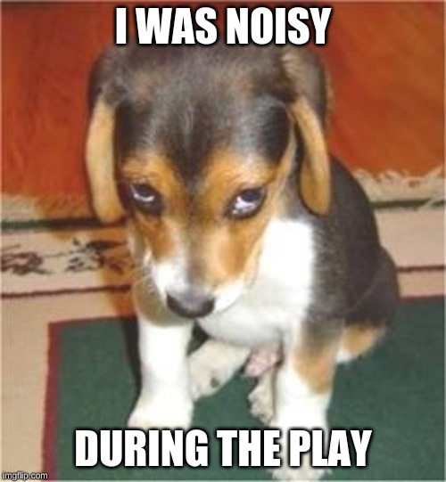 puppy eyes sorry | I WAS NOISY; DURING THE PLAY | image tagged in puppy eyes sorry | made w/ Imgflip meme maker