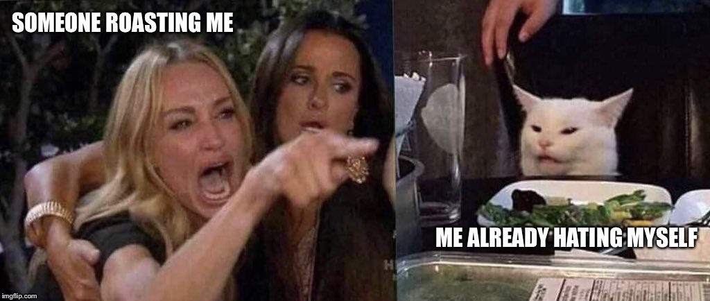 woman yelling at cat | SOMEONE ROASTING ME; ME ALREADY HATING MYSELF | image tagged in woman yelling at cat | made w/ Imgflip meme maker