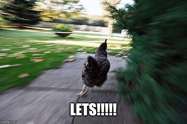 Chicken Running | LETS!!!!! | image tagged in chicken running | made w/ Imgflip meme maker