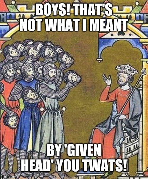 Knights who are a bit shite.. | BOYS! THAT'S NOT WHAT I MEANT; BY 'GIVEN HEAD' YOU TWATS! | image tagged in fun,knights,head | made w/ Imgflip meme maker