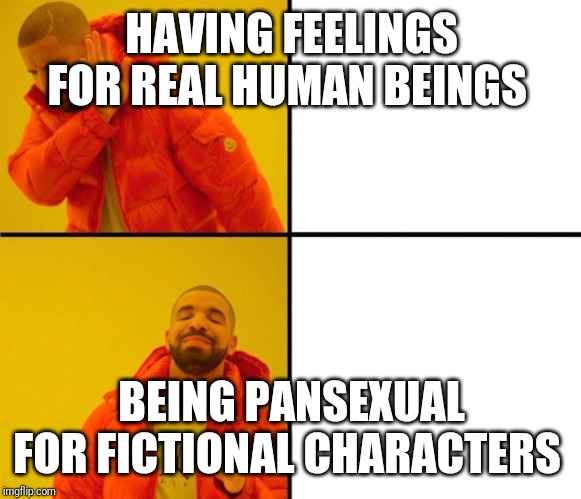 drake meme | HAVING FEELINGS FOR REAL HUMAN BEINGS; BEING PANSEXUAL FOR FICTIONAL CHARACTERS | image tagged in drake meme | made w/ Imgflip meme maker
