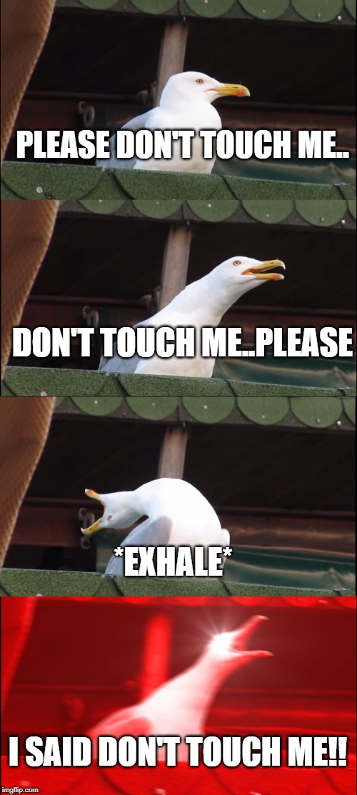 when someone touches me | PLEASE DON'T TOUCH ME.. DON'T TOUCH ME..PLEASE; *EXHALE*; I SAID DON'T TOUCH ME!! | image tagged in memes,inhaling seagull | made w/ Imgflip meme maker