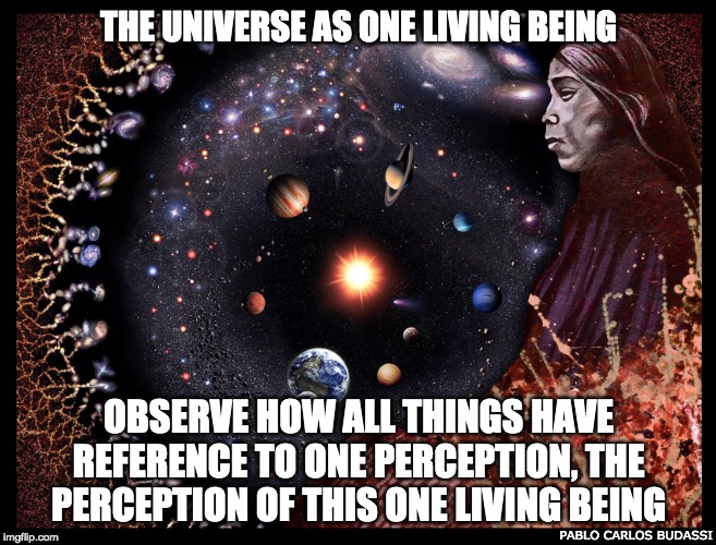  THE UNIVERSE AS ONE LIVING BEING; OBSERVE HOW ALL THINGS HAVE REFERENCE TO ONE PERCEPTION, THE PERCEPTION OF THIS ONE LIVING BEING; PABLO CARLOS BUDASSI | image tagged in pablo c budassi observable universe andes woman | made w/ Imgflip meme maker