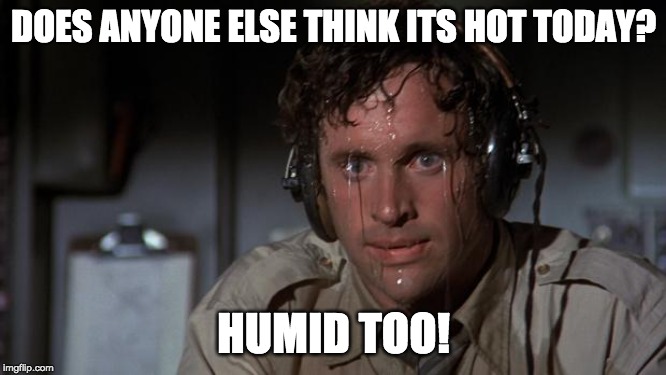 pilot sweating | DOES ANYONE ELSE THINK ITS HOT TODAY? HUMID TOO! | image tagged in pilot sweating | made w/ Imgflip meme maker