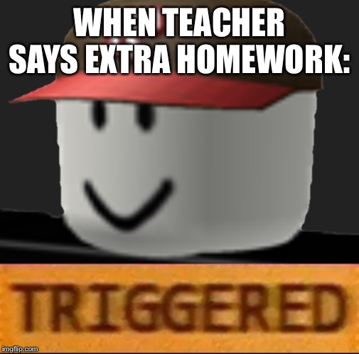 Roblox Triggered |  WHEN TEACHER SAYS EXTRA HOMEWORK: | image tagged in roblox triggered | made w/ Imgflip meme maker