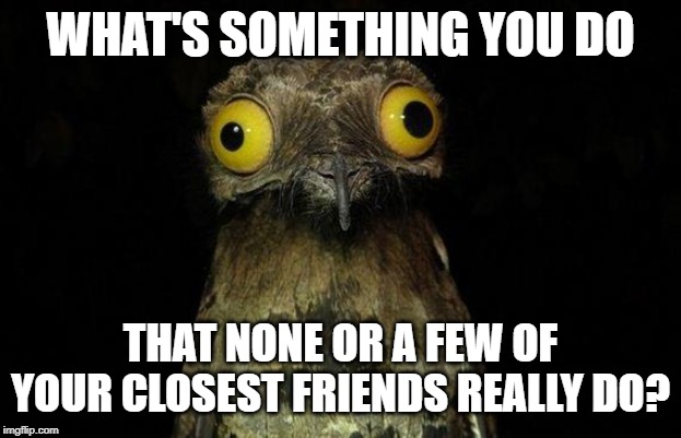 Weird Stuff I Do Potoo | WHAT'S SOMETHING YOU DO; THAT NONE OR A FEW OF YOUR CLOSEST FRIENDS REALLY DO? | image tagged in memes,weird stuff i do potoo | made w/ Imgflip meme maker