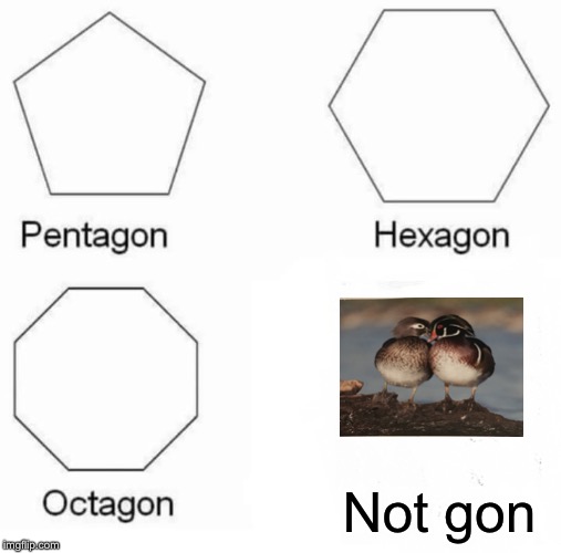 Pentagon Hexagon Octagon Meme | Not gon | image tagged in memes,pentagon hexagon octagon | made w/ Imgflip meme maker