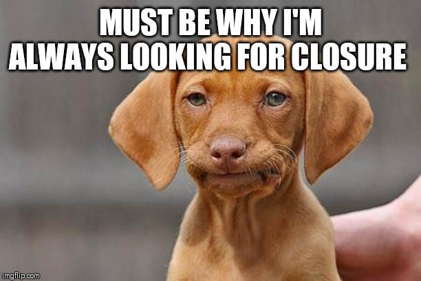 Dissapointed puppy | MUST BE WHY I'M ALWAYS LOOKING FOR CLOSURE | image tagged in dissapointed puppy | made w/ Imgflip meme maker