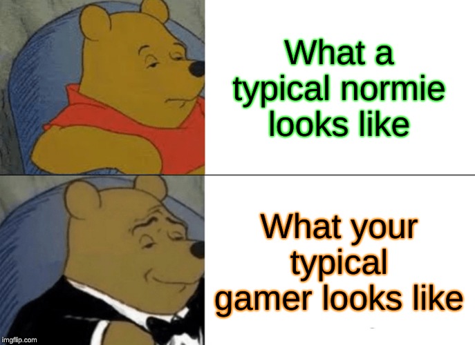 Tuxedo Winnie The Pooh | What a typical normie looks like; What your typical gamer looks like | image tagged in memes,tuxedo winnie the pooh | made w/ Imgflip meme maker