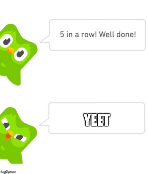 Duolingo 5 in a row | YEET | image tagged in duolingo 5 in a row | made w/ Imgflip meme maker