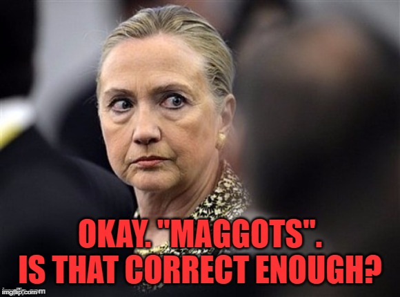 upset hillary | OKAY. "MAGGOTS". IS THAT CORRECT ENOUGH? | image tagged in upset hillary | made w/ Imgflip meme maker