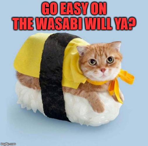 Cat Sushi | GO EASY ON THE WASABI WILL YA? | image tagged in cat sushi | made w/ Imgflip meme maker