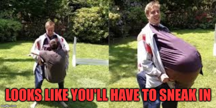 LOOKS LIKE YOU'LL HAVE TO SNEAK IN | made w/ Imgflip meme maker