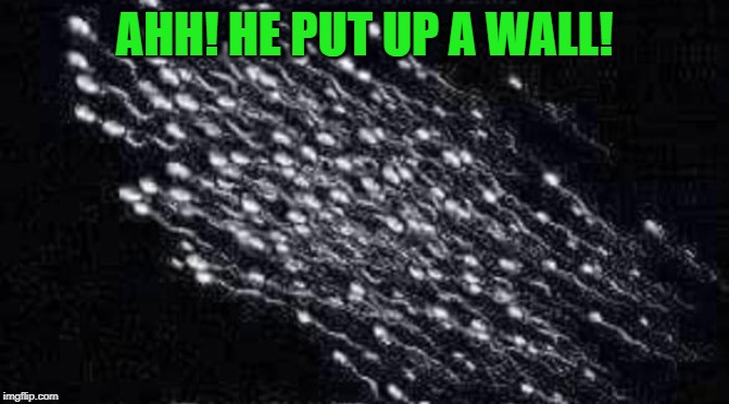 sperm | AHH! HE PUT UP A WALL! | image tagged in sperm | made w/ Imgflip meme maker