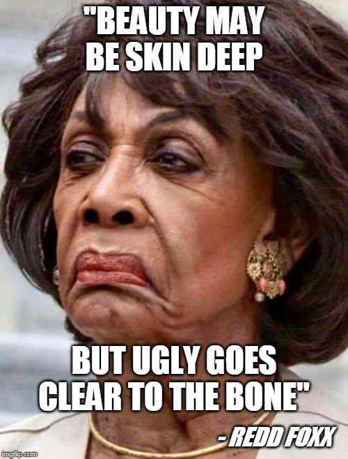 Warpaint | "BEAUTY MAY BE SKIN DEEP; BUT UGLY GOES CLEAR TO THE BONE"; - REDD FOXX | image tagged in politicians | made w/ Imgflip meme maker