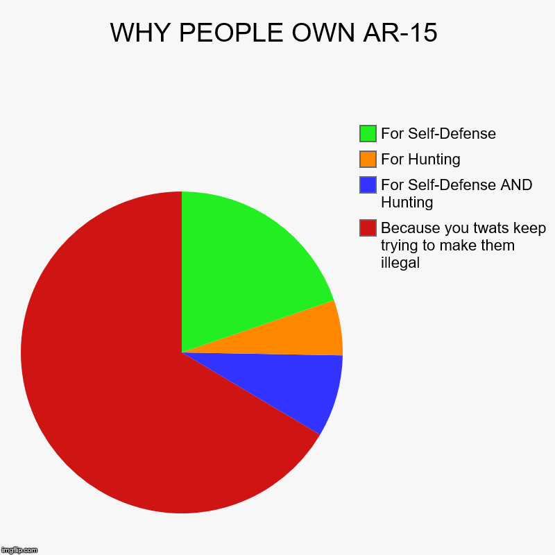 AR-15 OWNERS | WHY PEOPLE OWN AR-15 | Because you twats keep trying to make them illegal, For Self-Defense AND Hunting, For Hunting, For Self-Defense | image tagged in ar-15,rkba,2a | made w/ Imgflip chart maker