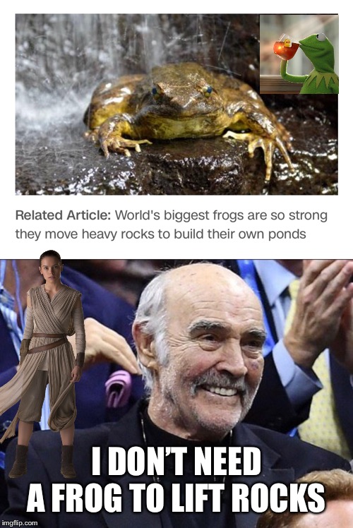 Sean Connery vs Kermit: the return of the meme war | I DON’T NEED A FROG TO LIFT ROCKS | image tagged in memes,sean connery  kermit | made w/ Imgflip meme maker