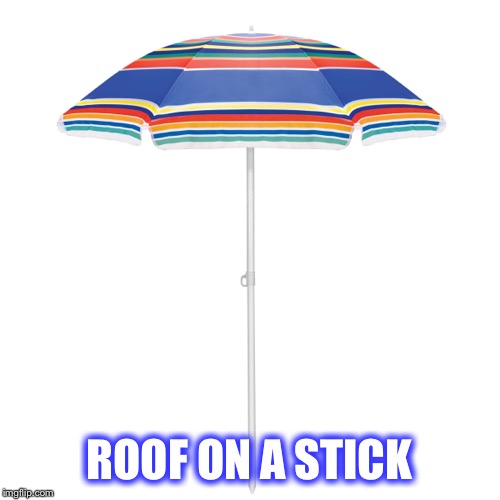 There’s meat on a stick, fruit on a stick and now... | ROOF ON A STICK | image tagged in what will they think of next,things that come on a stick | made w/ Imgflip meme maker