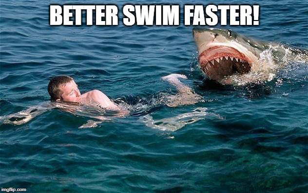 Swimming with sharks | BETTER SWIM FASTER! | image tagged in swimming with sharks | made w/ Imgflip meme maker