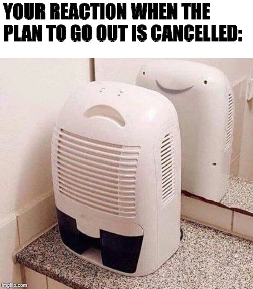 YOUR REACTION WHEN THE PLAN TO GO OUT IS CANCELLED: | image tagged in friends | made w/ Imgflip meme maker