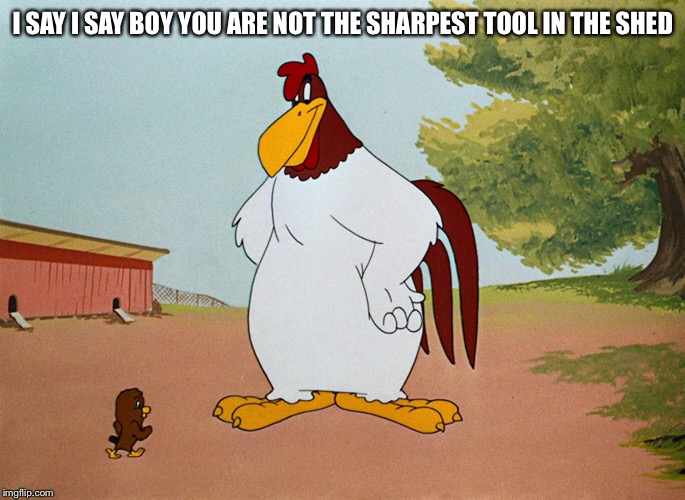 I SAY I SAY BOY YOU ARE NOT THE SHARPEST TOOL IN THE SHED | made w/ Imgflip meme maker
