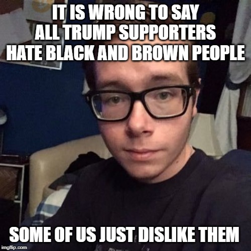 IT IS WRONG TO SAY ALL TRUMP SUPPORTERS HATE BLACK AND BROWN PEOPLE; SOME OF US JUST DISLIKE THEM | image tagged in nikolas lemini | made w/ Imgflip meme maker