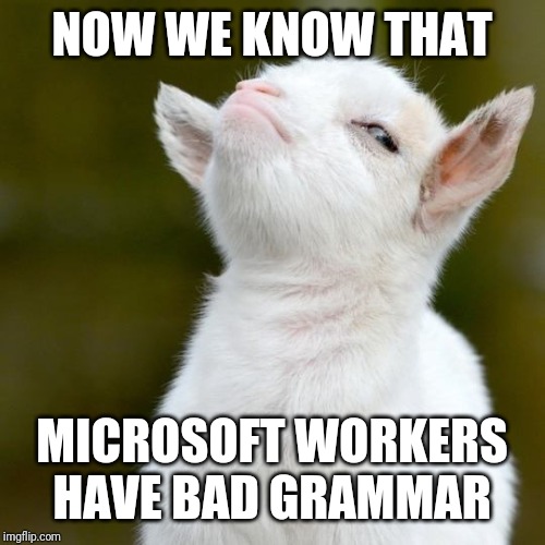 NOW WE KNOW THAT MICROSOFT WORKERS HAVE BAD GRAMMAR | image tagged in suspicious lamb | made w/ Imgflip meme maker