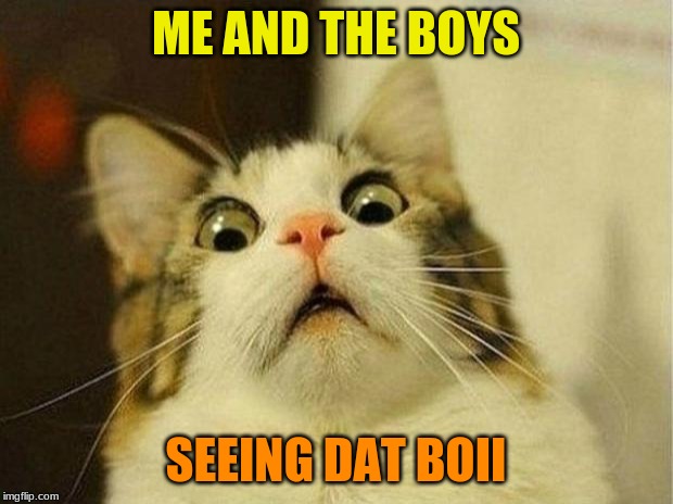 Scared Cat | ME AND THE BOYS; SEEING DAT BOII | image tagged in memes,scared cat | made w/ Imgflip meme maker