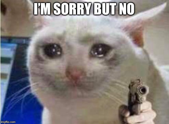 Sad cat with gun | I’M SORRY BUT NO | image tagged in sad cat with gun | made w/ Imgflip meme maker