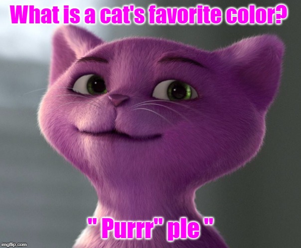 "Purr" Ple cat | What is a cat's favorite color? " Purrr" ple " | image tagged in cat | made w/ Imgflip meme maker