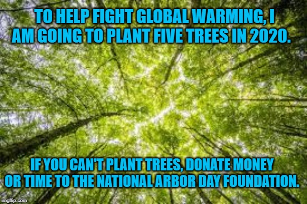 Trees | TO HELP FIGHT GLOBAL WARMING, I AM GOING TO PLANT FIVE TREES IN 2020. IF YOU CAN'T PLANT TREES, DONATE MONEY OR TIME TO THE NATIONAL ARBOR DAY FOUNDATION. | image tagged in politics | made w/ Imgflip meme maker