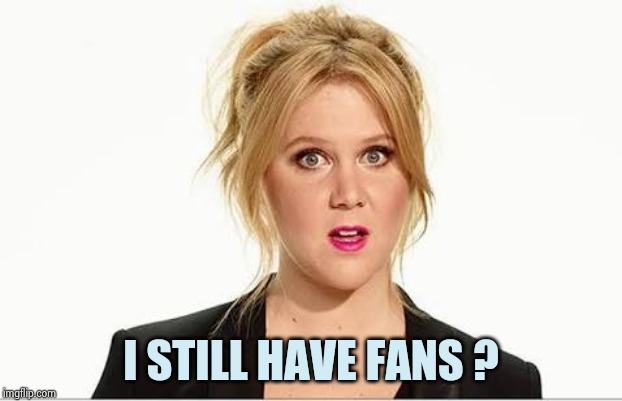Amy schumer | I STILL HAVE FANS ? | image tagged in amy schumer | made w/ Imgflip meme maker