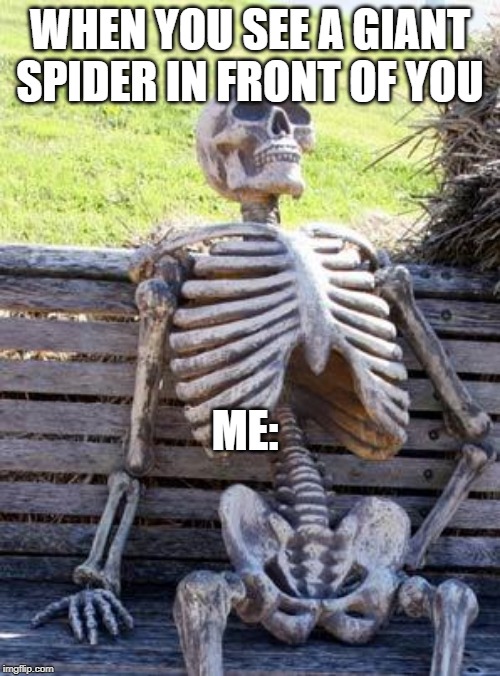 Waiting Skeleton Meme | WHEN YOU SEE A GIANT SPIDER IN FRONT OF YOU; ME: | image tagged in memes,waiting skeleton | made w/ Imgflip meme maker