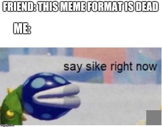 say sike right now | FRIEND: THIS MEME FORMAT IS DEAD; ME: | image tagged in say sike right now | made w/ Imgflip meme maker