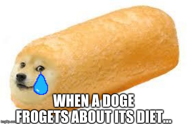 twinkie doge | WHEN A DOGE FROGETS ABOUT ITS DIET... | image tagged in twinkie doge | made w/ Imgflip meme maker