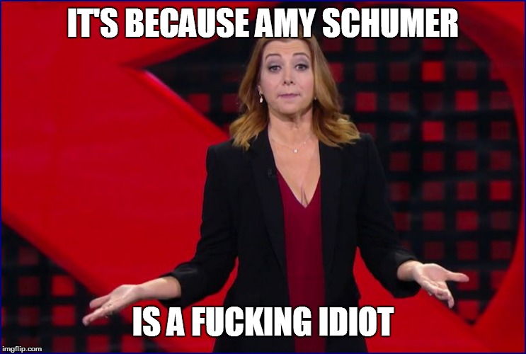 IT'S BECAUSE AMY SCHUMER IS A F**KING IDIOT | made w/ Imgflip meme maker