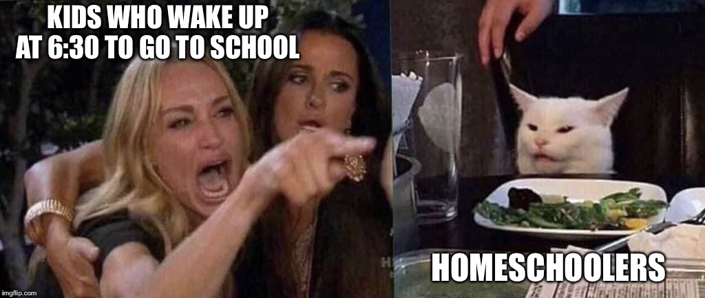 woman yelling at cat | KIDS WHO WAKE UP AT 6:30 TO GO TO SCHOOL; HOMESCHOOLERS | image tagged in woman yelling at cat | made w/ Imgflip meme maker