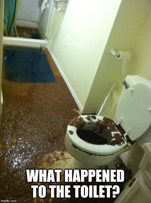 A natural disaster in the toilet | WHAT HAPPENED TO THE TOILET? | image tagged in poop,messy toilet,toilet,memes,fun | made w/ Imgflip meme maker