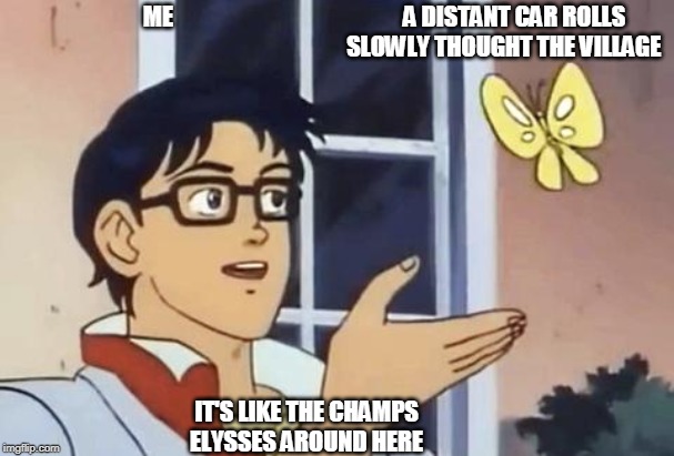Butterfly Meme | ME                                                 A DISTANT CAR ROLLS 
                                                  SLOWLY THOUGHT THE VILLAGE; IT'S LIKE THE CHAMPS ELYSSES AROUND HERE | image tagged in butterfly meme | made w/ Imgflip meme maker