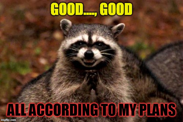 Evil Plotting Raccoon Meme | GOOD...., GOOD; ALL ACCORDING TO MY PLANS | image tagged in memes,evil plotting raccoon | made w/ Imgflip meme maker