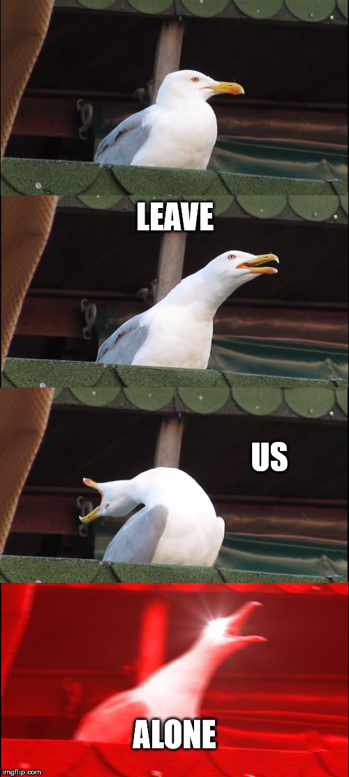 Inhaling Seagull | LEAVE; US; ALONE | image tagged in memes,inhaling seagull | made w/ Imgflip meme maker