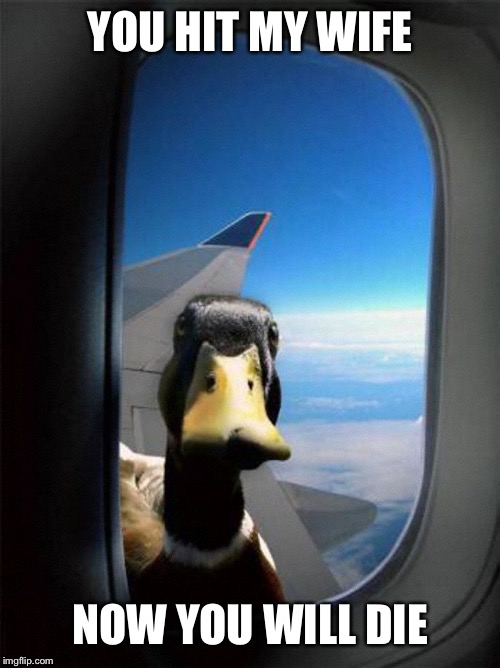 Airplane Duck | YOU HIT MY WIFE NOW YOU WILL DIE | image tagged in airplane duck | made w/ Imgflip meme maker