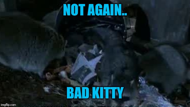 NOT AGAIN.. BAD KITTY | made w/ Imgflip meme maker